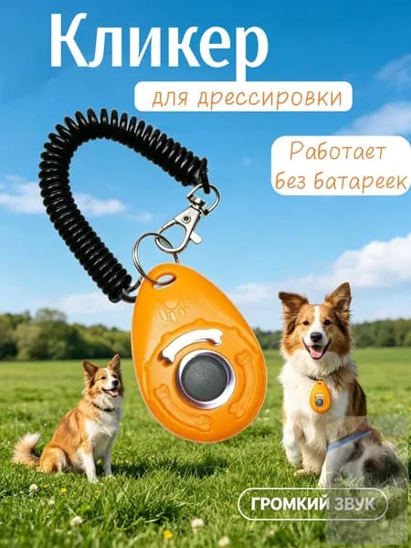 Кликер для дрессировки собак браслет, оранжевый.wl