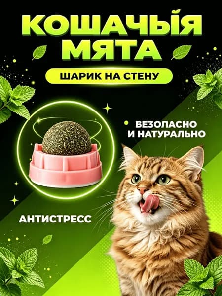 Кошачья Мята