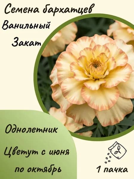 Бархатцы Ванильный Закат, 10 шт. семян