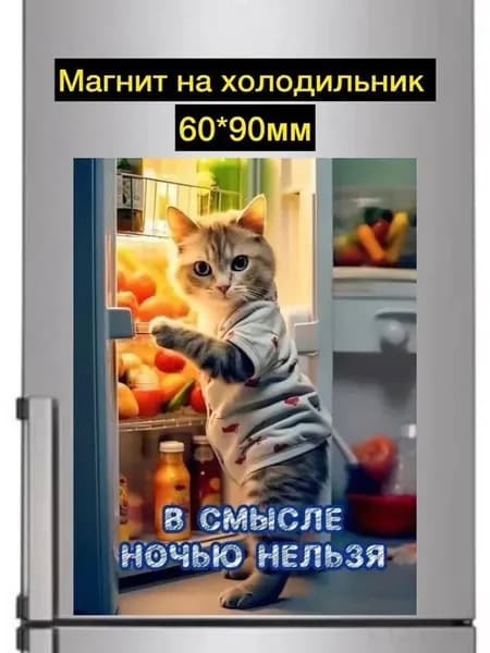 Магниты на холодильник Кот и холодильник