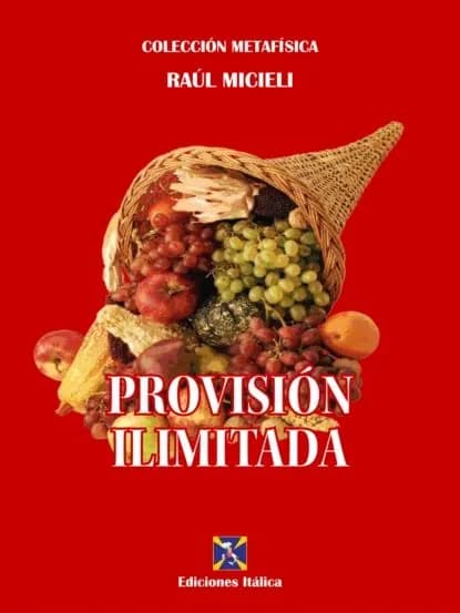 Provisin Ilimitada | Micieli Raúl | Электронная книга