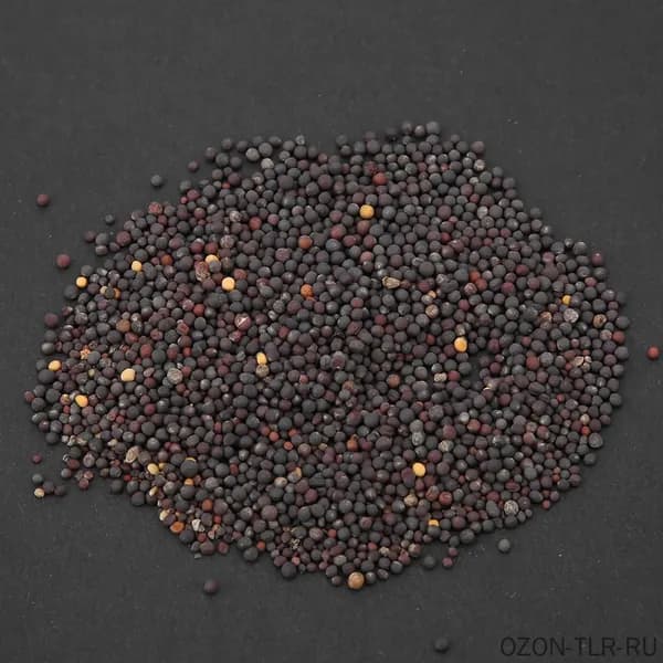 10g семена водных живых растений акации Heart Grass для быстрого роста в аквариуме, декор для рыбок Easy Water