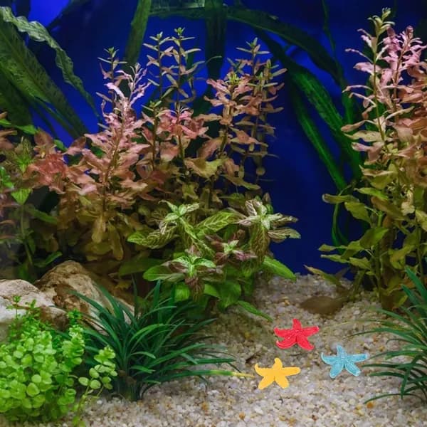 Разноцветные коралловые украшения из смолы в наборе из 6 штук для аквариума