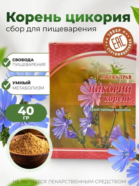 Цикорий 1шт.