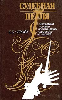 Судебная петля. Секретная история политических процессов на Западе | Черняк Ефим Борисович