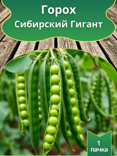 Горох Сибирский Гигант , семена 10 шт.