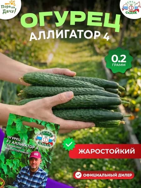 Семена огурец Аллигатор 4 F1 жаростойкий, 0.2 г