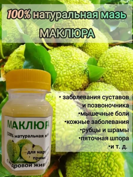 Мазь Маклюра 100 мл.
