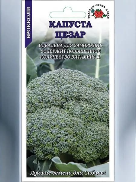 Капуста брокколи Цезар /Сотка/ 0,3г / среднеран.