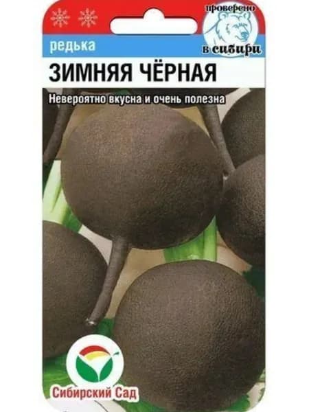 Редька семена Черная зимняя 1 г, невероятно вкусная и очень полезная