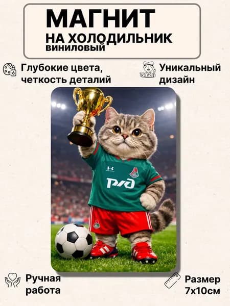 Магнит на холодильник, Локомотив футбол