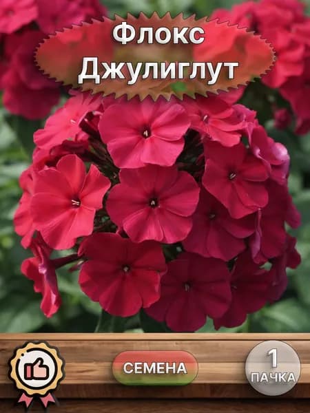 Флокс Джулиглут, семена 10 шт.