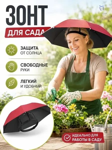 Зонт