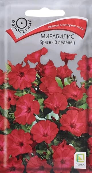 Мирабилис "Красный леденец", 1гр., Поиск