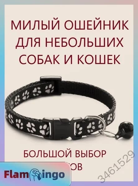 Ошейник