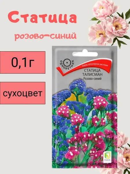 семена статица розово-синий