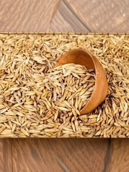 Овёс кормовой фураж вес 10кг