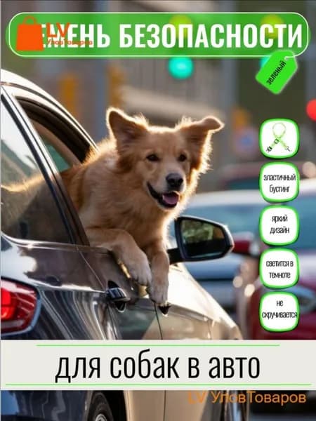 Ремень безопасности для собак