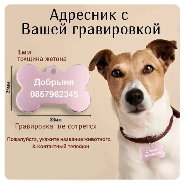 Адресник медальон для животных с адресом
