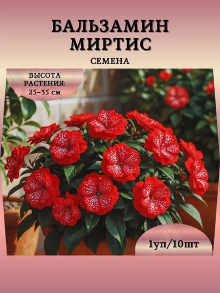 Бальзамин "Миртис" семена, 1 пачка