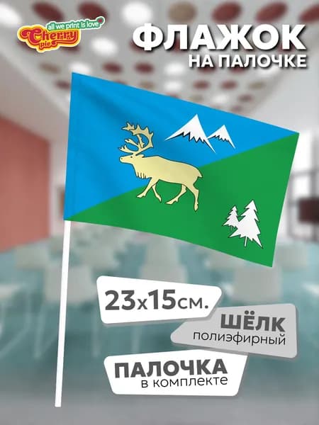 Флаг 23x15 на палочке Быстринский район (Камчатский край)