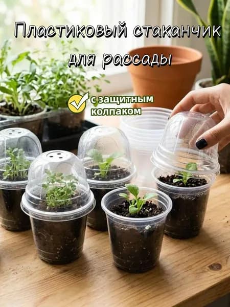 Горшок для цветов, 1 шт, цвет прозрачный