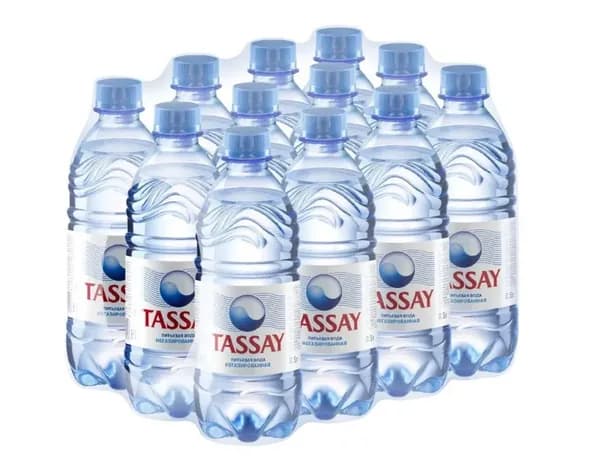 Вода питьевая TASSAY (Тассай), негазированная, 0.5 л х 12 шт, ПЭТ