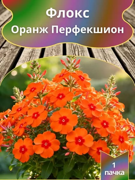 Флокс Оранж Перфекшион , семена 10 шт.