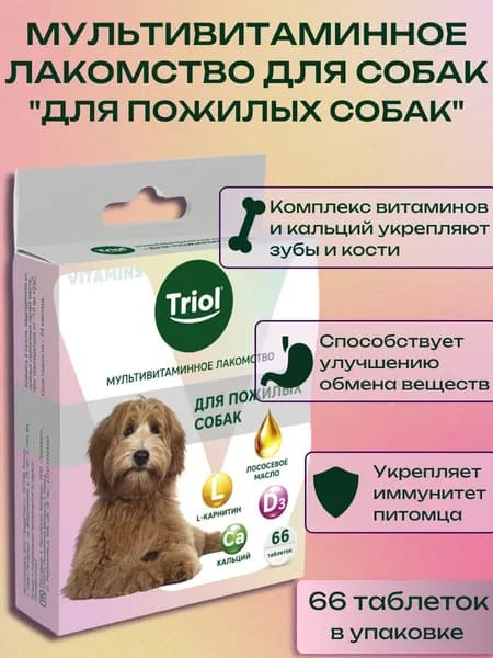 Triol Мультивитаминное лакомство для собак "Для пожилых собак", 33г