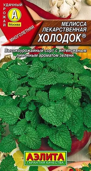 Семена Мелисса лекарственная Холодок (0,1г) - Аэлита