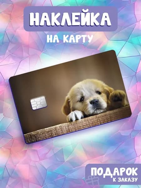 Собаки, Наклейка на банковскую карту