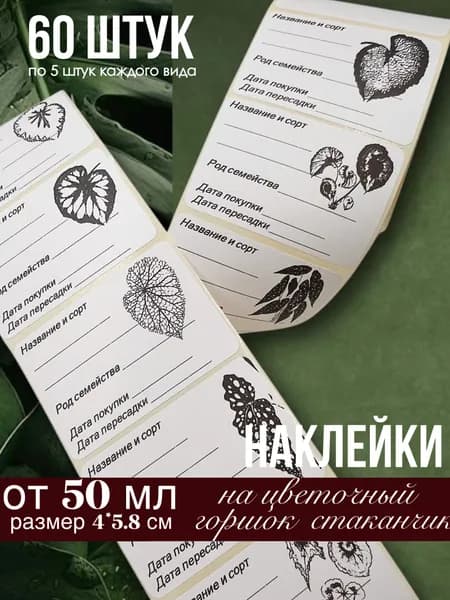 Наклейки Бегонии для цветочных горшков, кашпо, табличек, рассады, 60 штук, размер 4х5.8 см