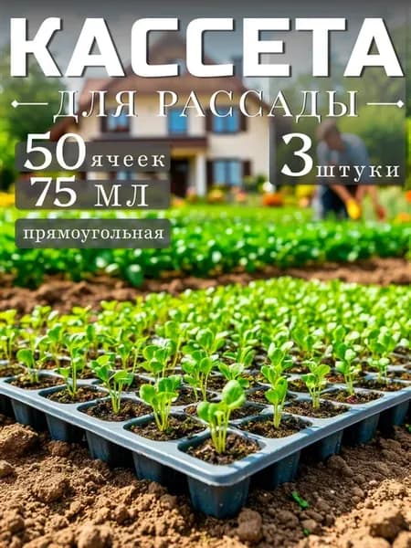 Кассета для рассады прямоугольная с ячейками