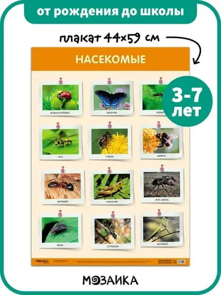 Развивающий плакат на стену для детей, насекомые 3+