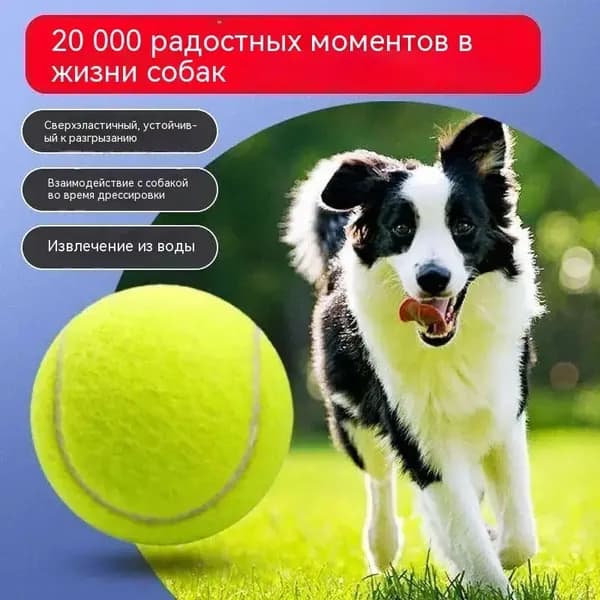 Теннисный мяч для собак, уровень 3, микроэластичный, зелёный цвет