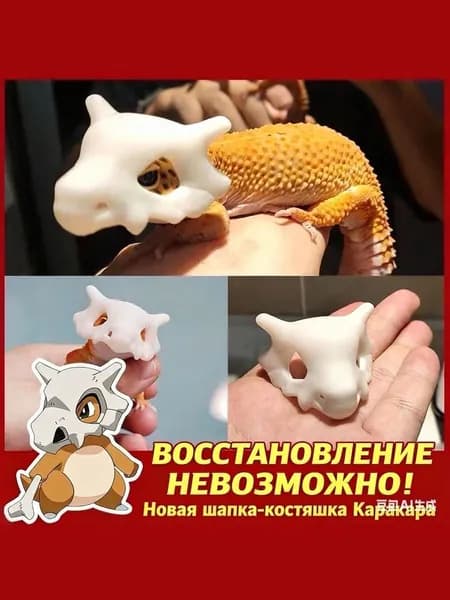 Шапка для гекконов и ящериц
