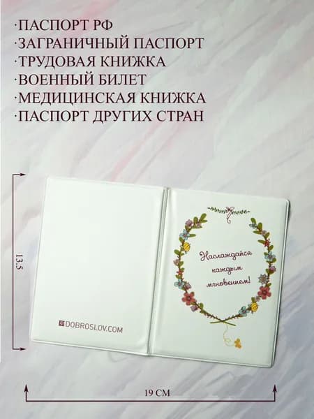 Обложка на паспорт защитная твердая с принтом оригинальный рисунок/ /чехол на паспорт женский прикольный / обложка на загранпаспорт