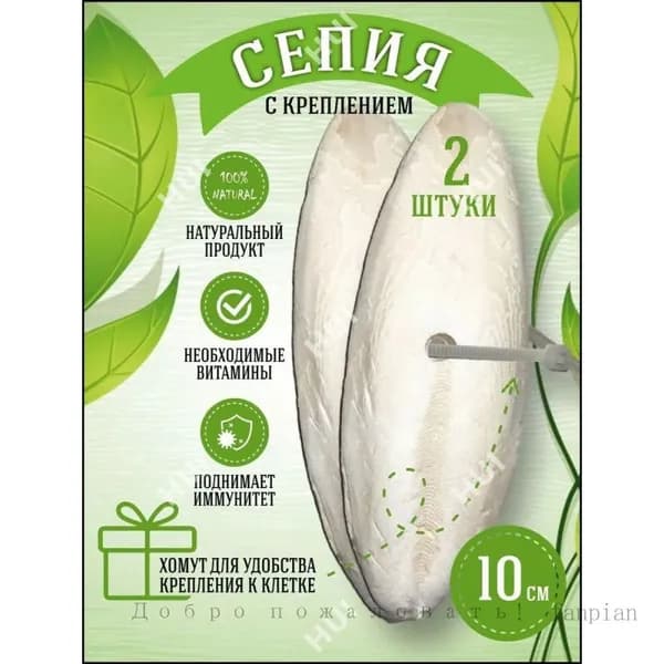 Сепия 10 см 2 штуки панцирь каракатицы для попугаев, корм для птиц