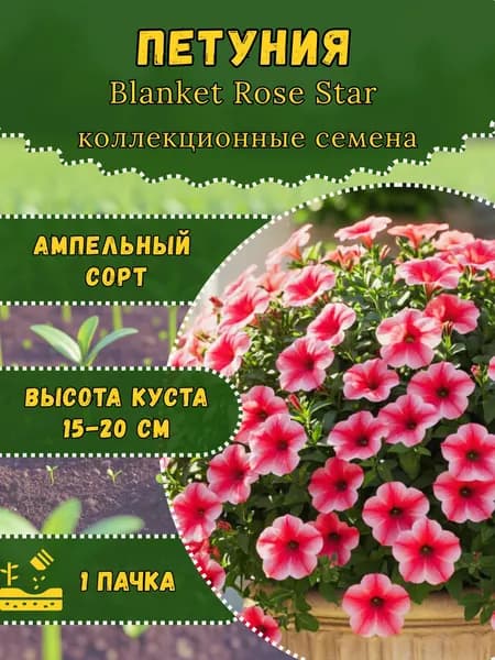 Семена Петунии "Бланкет Роуз Стар", 10 семян