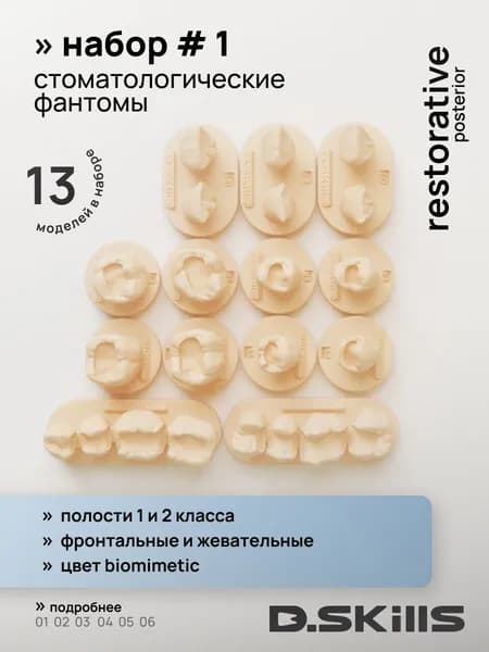 SET #1 Модели зубов для реставрации