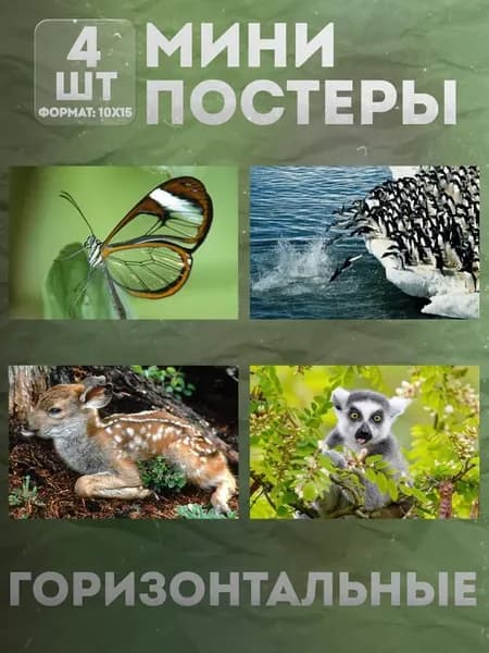 Мини постеры 10 на 15 (набор) «Животные» 4 шт