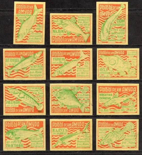 Спичечные этикетки СССР. 1961 год. Редкая полная серия Рыбы реки Амура. Спичечная фабрика Искра.