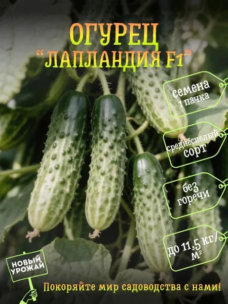 Коллекционные семена огурца Лапландия F1, 1 пачка в комплекте