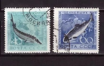 СССР, 1959. (2331-32) Рыбы (гаш.),