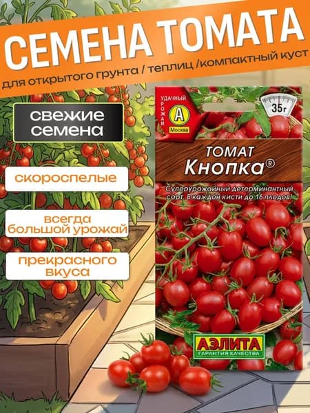 Семена томатов Кнопка низкорослые для теплиц / семя овощей для огорода открытого грунта