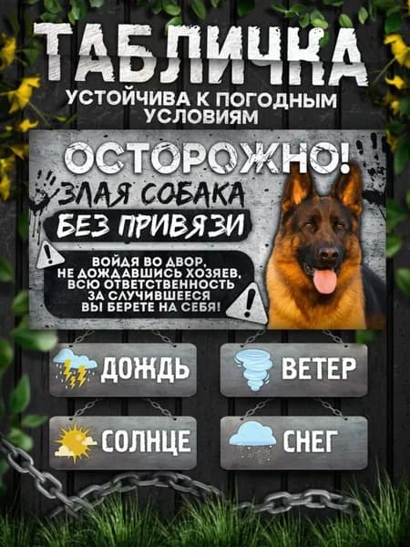 Табличка, на забор, DANGER DOG, Осторожно! Во дворе собака без привязи, Немецкая овчарка, 20x30 см