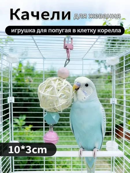 Качели Для Жевания: Игрушка Для Попугая В Клетку Корелла