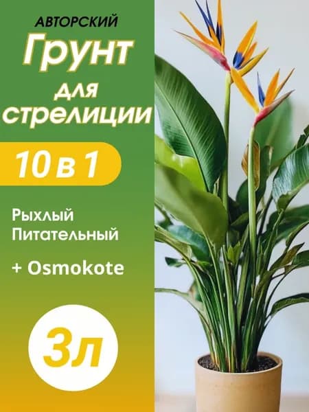 Грунт для Стрелиции 3л готовый