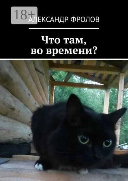 Что там, во времени? | Фролов Александр | Электронная книга