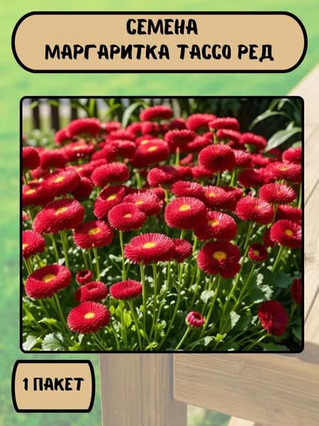 Маргаритка Тассо ред, семена 10 шт